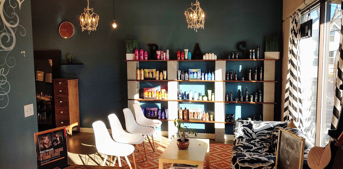 B. Anthony's Salon interior, teal walls with retail shelving and chandeliers